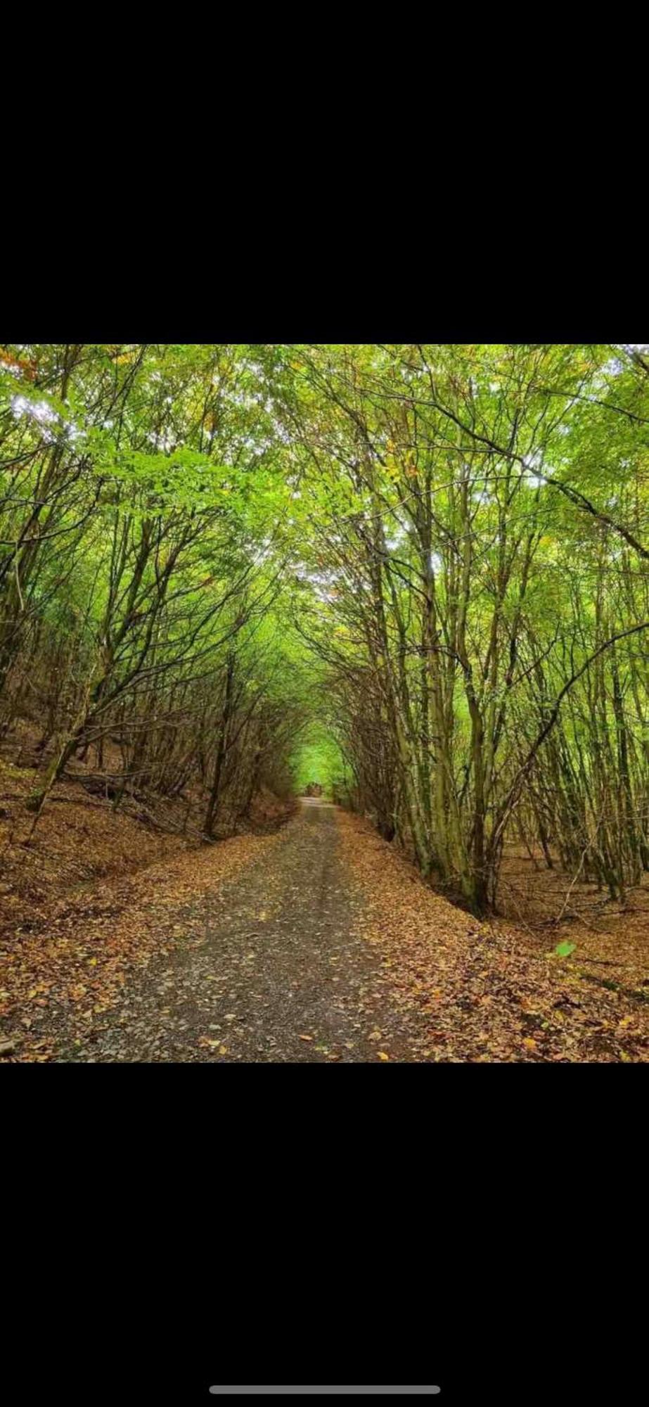 Se Relaxer Dans La Vallee Hombourg-Haut Екстер'єр фото